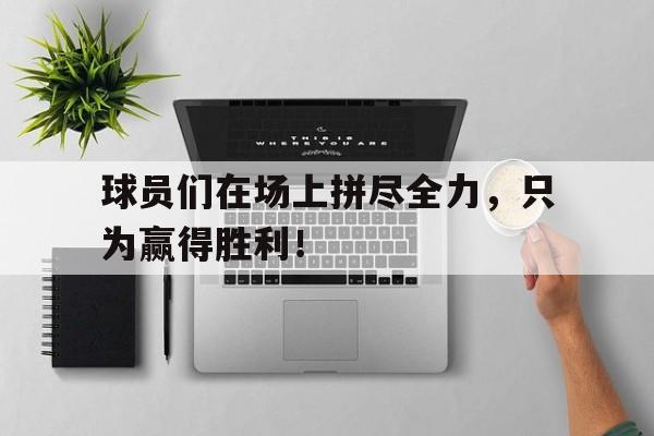 球员们在场上拼尽全力，只为赢得胜利！的简单介绍